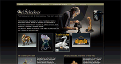 Desktop Screenshot of melschocknerphoto.com